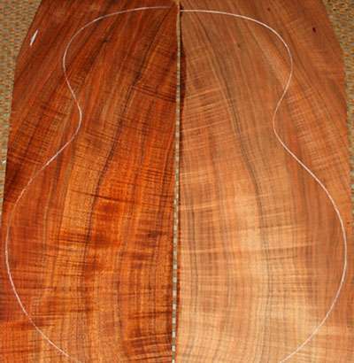 Tasmanian Blackwood Used for Guitar Construction