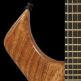 Bertram Troth Guitar, Body