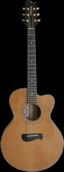 Tacoma ECM38C Limited Edition Amazon Top Guitar