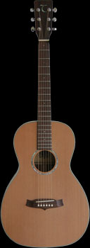 Tanglewood TW73 Parlor Guitar