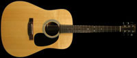 Acoustic Guitar